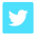 Share on Twitter
